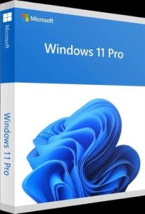 Windows-11-Pro-2-removebg-previe