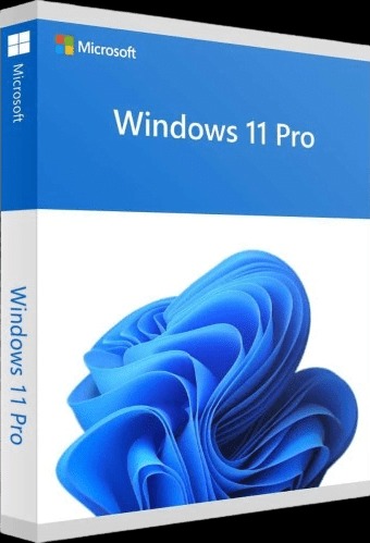 Windows-11-Pro-2-removebg-previe