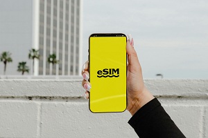 best eSIM from Gleesim