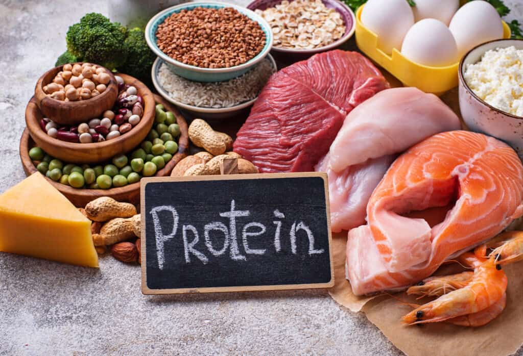 protein foods