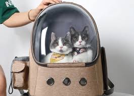 Pet travel accessories