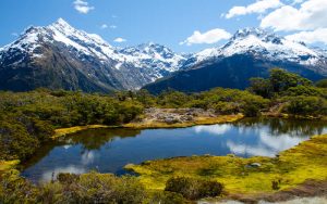 Things to know before visiting New Zealand