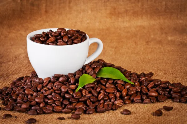 Wholesale Coffee Suppliers Aus