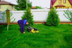 Professional lawn edging services