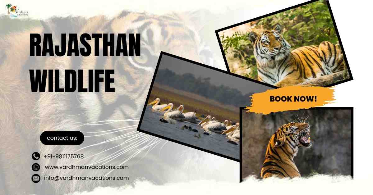 rajasthan wildlife