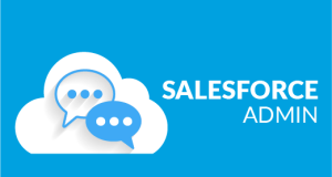 salesforce Admin