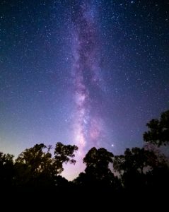 vertical-shot-forest-beautiful-starry-night-sky-great-wallpapers-1