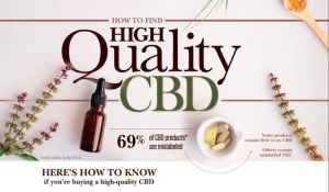 High-Quality-CBD-Product-F-1024x596