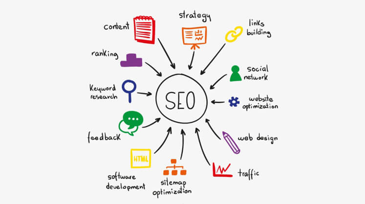 SEO-search-engine-spider