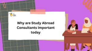 What Questions to Ask a Study Abroad Consultant (2)