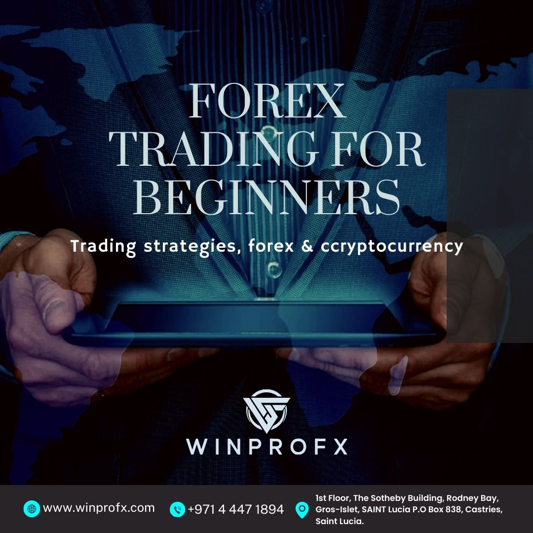 Forex Trading for Beginners: Tips and Tricks to Get Started