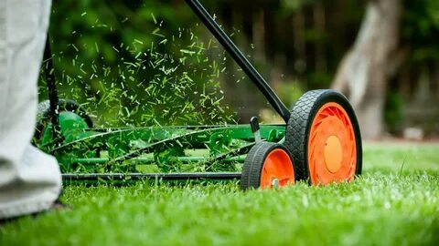 Best Lawn Care Service Atlanta