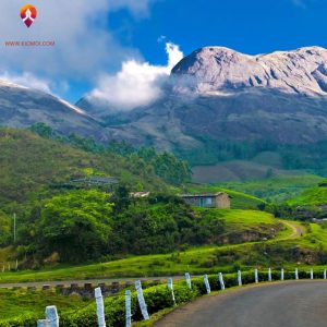 munnar tour packages