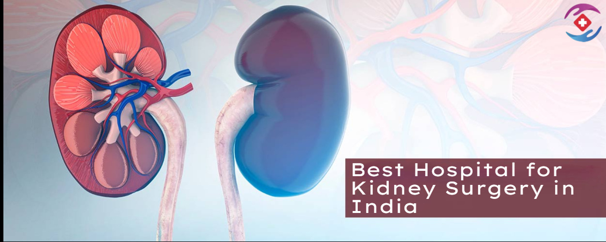 Best_Hospital_for_Kidney_Surgery_in_India_1_200