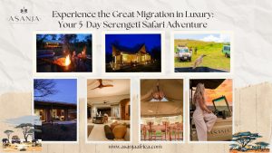 Experience the Great Migration in Luxury Your 5-Day Serengeti Safari Adventure