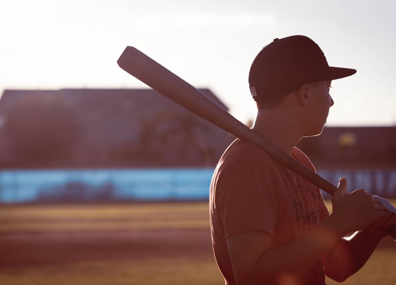 Pro Maple Wood Bats