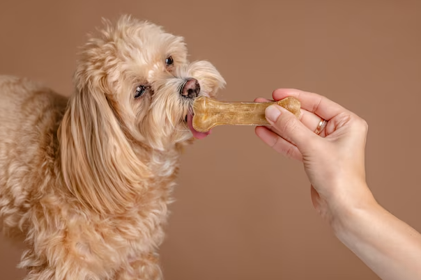 Soft & Chewy Dog Treats