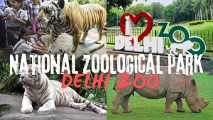 Delhi zoo ticket