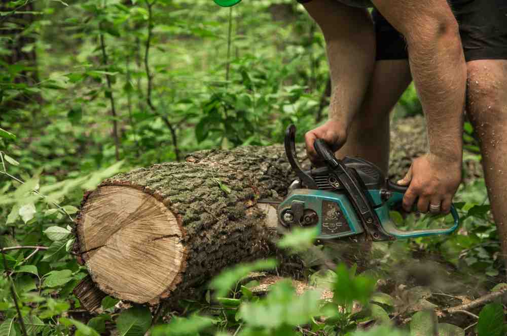 man-with-chainsaw-cuts-tree (1)