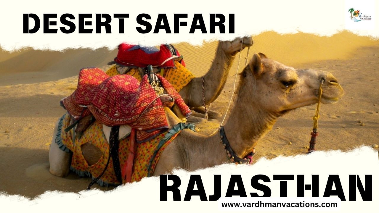 Desert Safari in Rajasthan (7)